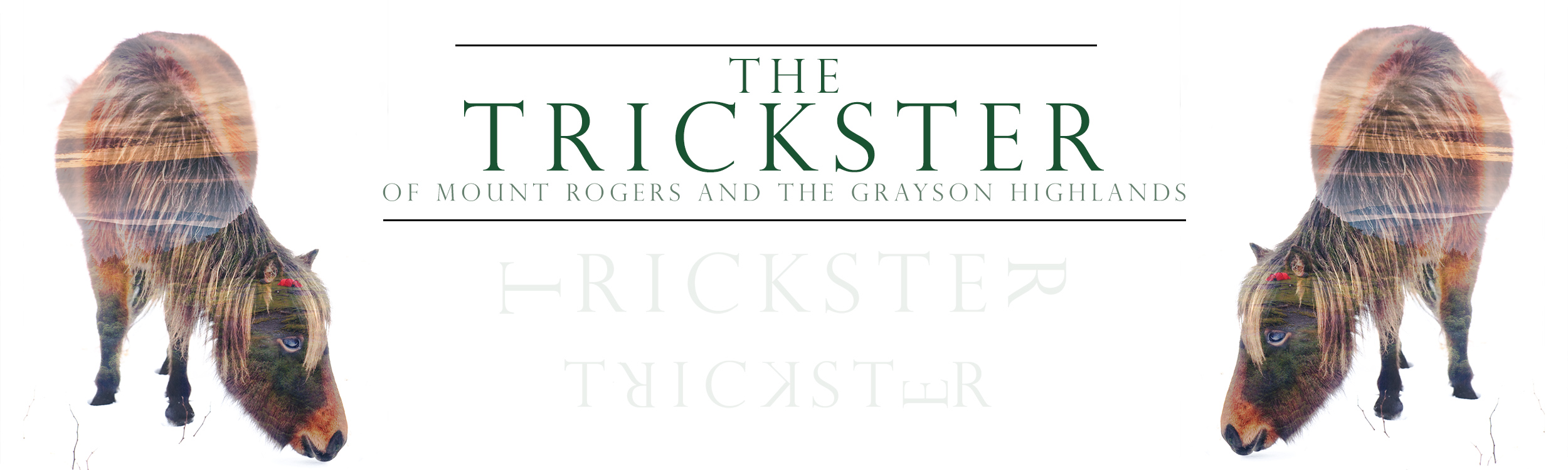 The Tricksster
